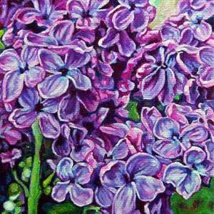 Giclee Canvas Print 8x10 - Lilacs No.1 - Fine Art..