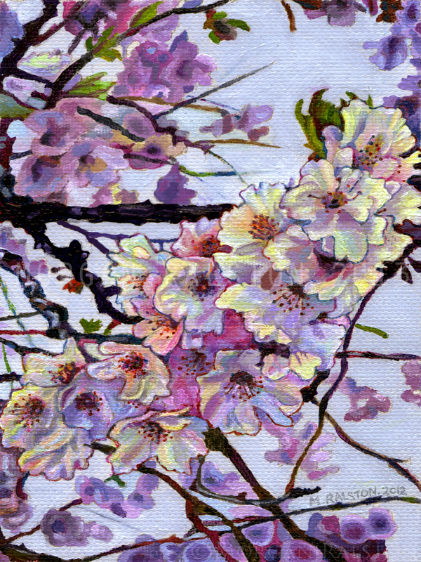 Giclee Canvas Print 8x10 - The Cherry Branch - Pink Purple Flower Signed Limited Edition